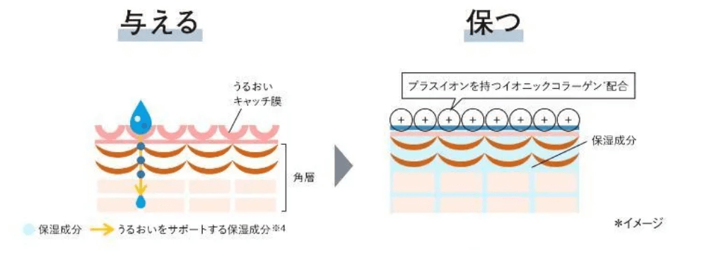 ORBIS Mr. (オルビス ミスター)・ブログ・エッセンスローション・3